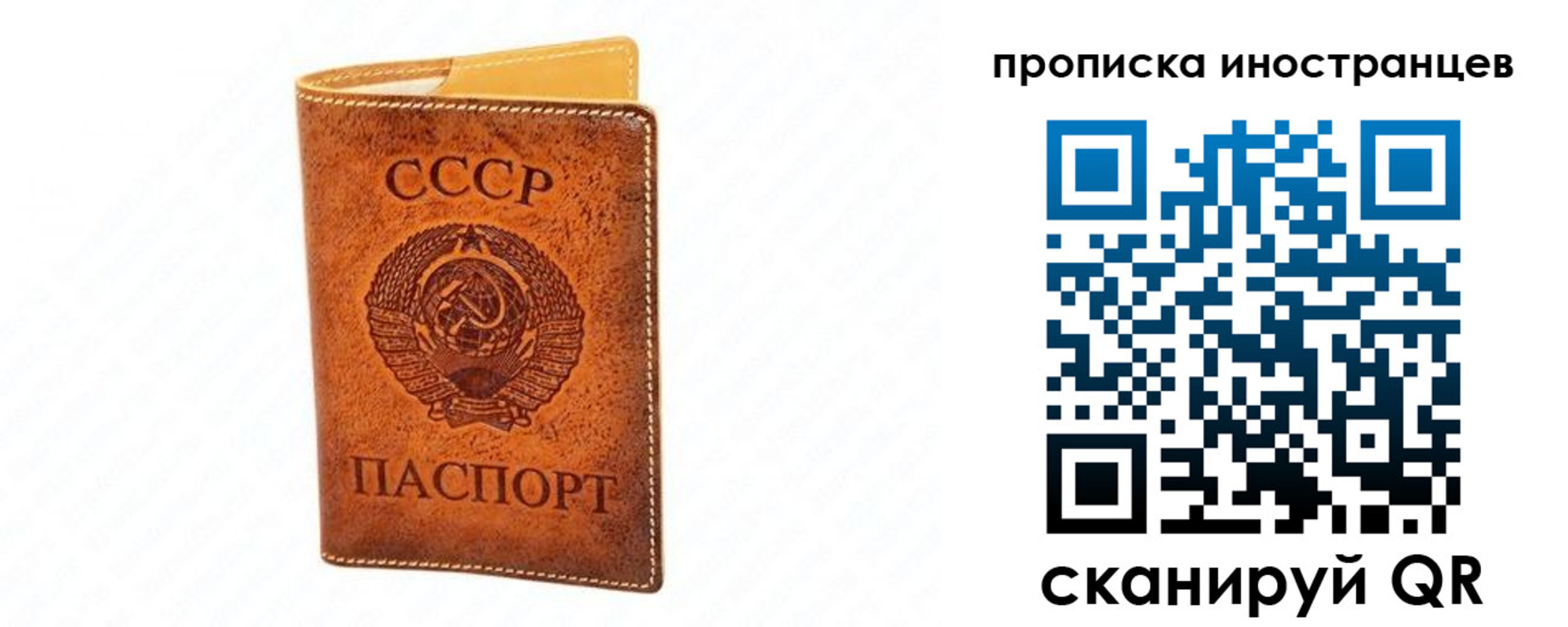 прописка для школы в Фокино
